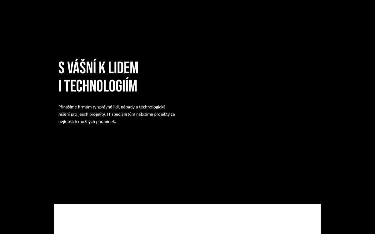 Web EMNT Solutions, který jsem postavil